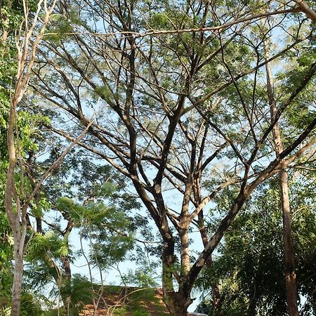 Rumah Jah Langkawi Pantai Cenang  Eksteriør billede